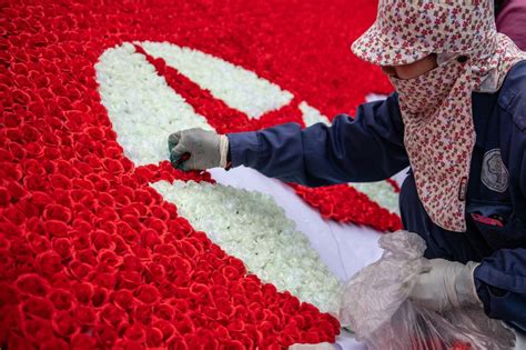 Flower Of North Korea | Best Flower Site