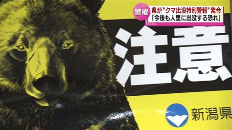 新潟県が「クマ出没特別警報」を発令 クマによる人的被害が相次ぐ 今後も人里に出没の可能性 引き続き警戒を 《新潟》 ライブドアニュース