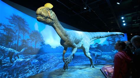 Dinosaurs Of Antarctica The Exhibition And OMNIMAX Film YouTube