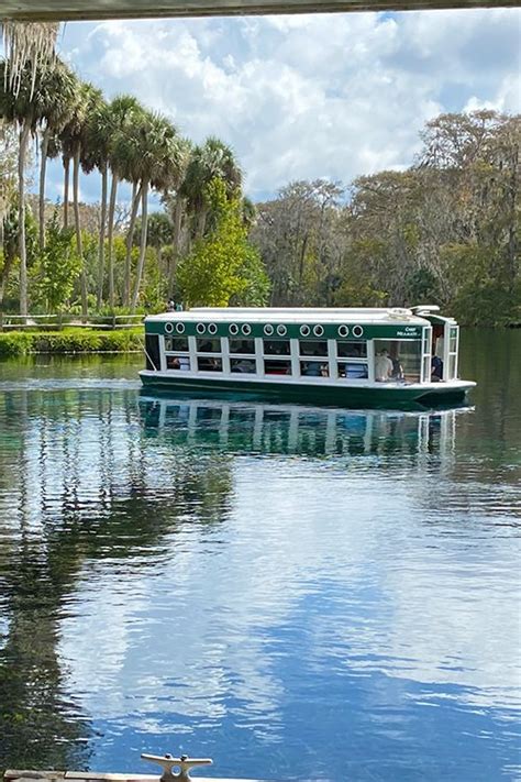 Silver Springs State Park, Ocala FL — SOUTH OF SEEDS