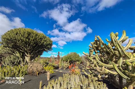 CÓMO VISITAR EL JARDÍN DE CACTUS DE LANZAROTE DE UNA FORMA DIFERENTE