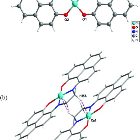 A Molecular Structure Of The [cu Ii L] Complex Selected Bond Lengths Download Scientific