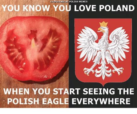 Fbipolemical Polish Memes You Know You Love Poland When You 12924490