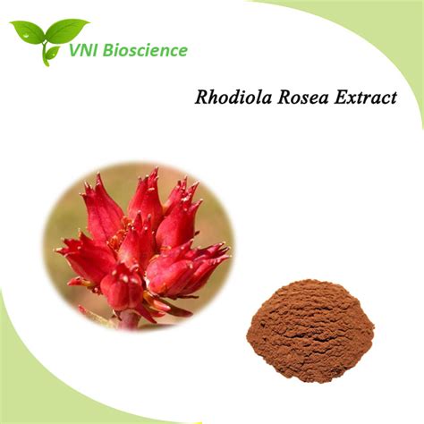 Kosher Halal Certified 100 Natural Salidroside Powder Rhodiola Rosea