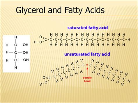 Lipids Ppt Download