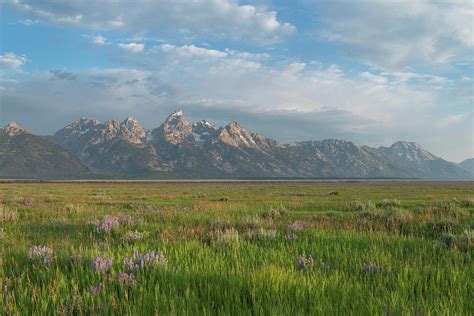 Antelope Flats Grand Teton National Photograph By Alan Majchrowicz