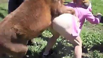 Pony Fucks Woman Sex Pictures Pass