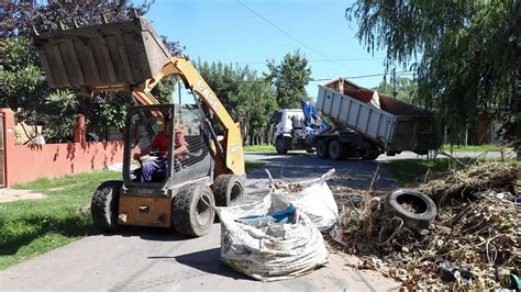 Prevenci N Del Dengue Tras Las Lluvias Piden Iniciar Con Las Tareas