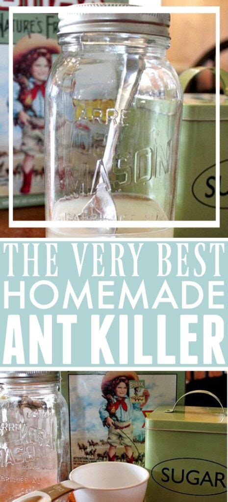 The Very Best Homemade Natural Ant Killer | The Creek Line House