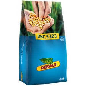 Semi Di Mais Molto Precoce Dkc Dekalb Per Cereali Per