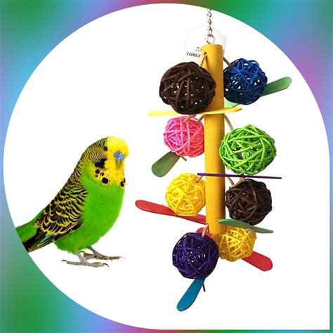 Parakeet Toys | Wow Blog