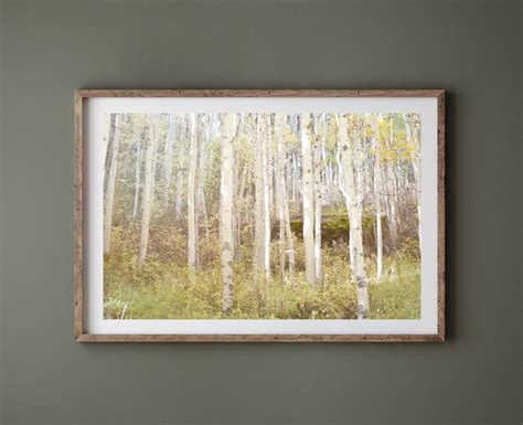 Aspen Trees Photography Print, Rustic Wall Art, Home Decor, Farmhouse ...