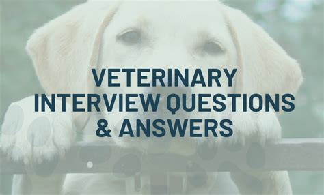 Veterinary Interview Questions And Answers