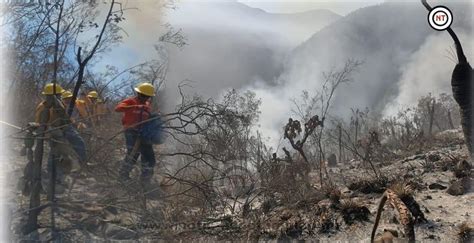 Atiende Protecci N Civil Tamaulipas Dos Incendios Forestales En Jaumave