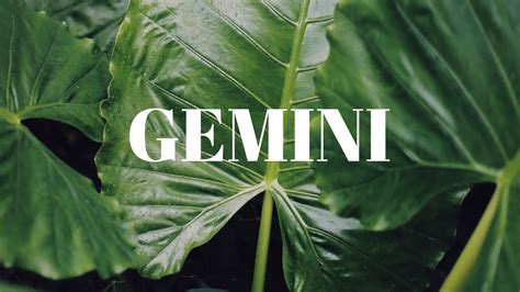 Daily Gemini Horoscope Today 🙂 Valuable Information 🙂 November 3 Gemini