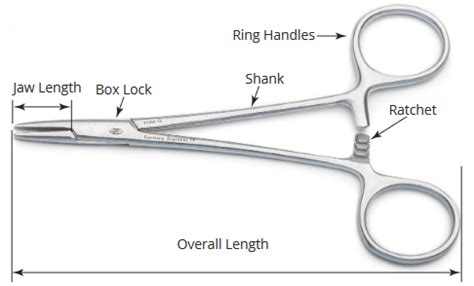 Instruments Names And Their Uses In Cesarean Section