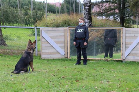 Verein für Dt Schäferhunde Ortsgruppe Tettnang Meckenbeuren e V 2020