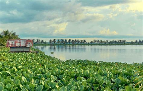 Explained What Are Ramsar Sites And How Wetlands Get The Tag