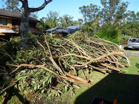 A & J Tree Services - Central Coast Wood Chipping & Mulch Supply Photo ...