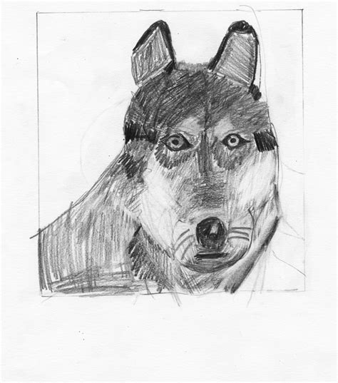 Animal Shadow Drawing / Pencil Shading Drawing at GetDrawings | Free ...