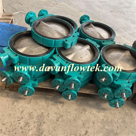 Oem Ss Disc Epdm Handle Operation Butterfly Valve Wafer Lug Flange