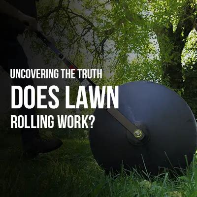 Uncovering the Truth: Does Lawn Rolling Work?