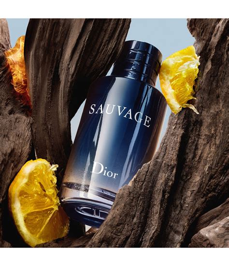 Perfume Dior Sauvage Masculino Eau De Toilette 60ml