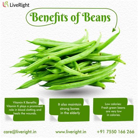 Health Benefits Of Beans Health Benefits Of Beans Fresh Green Beans