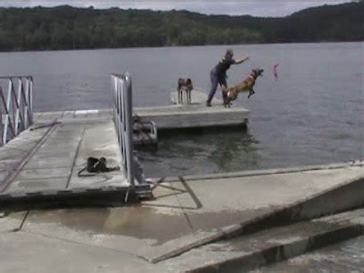 Dog Gone Happy: Dock jumping practice