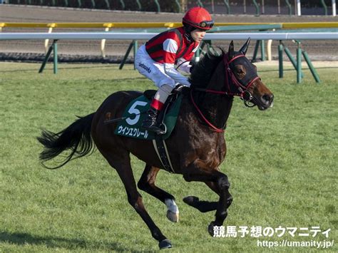 【秋華賞】厩舎の話｜競馬ニュース｜競馬予想のウマニティ