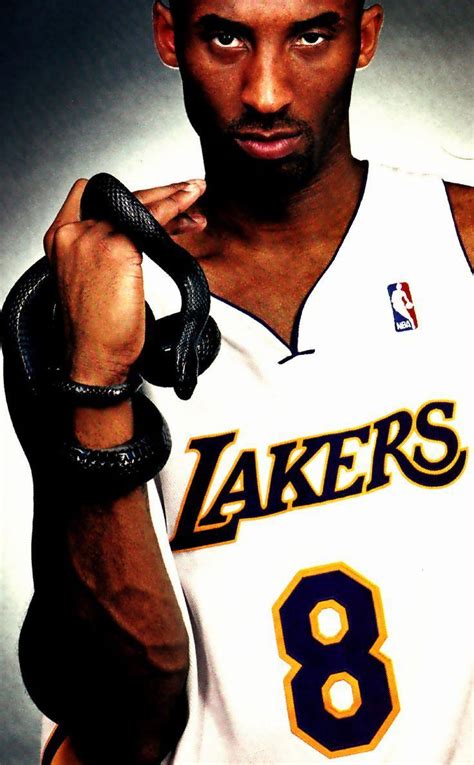 Kobe Bryant Number 8 Wallpapers Top Free Kobe Bryant Number 8