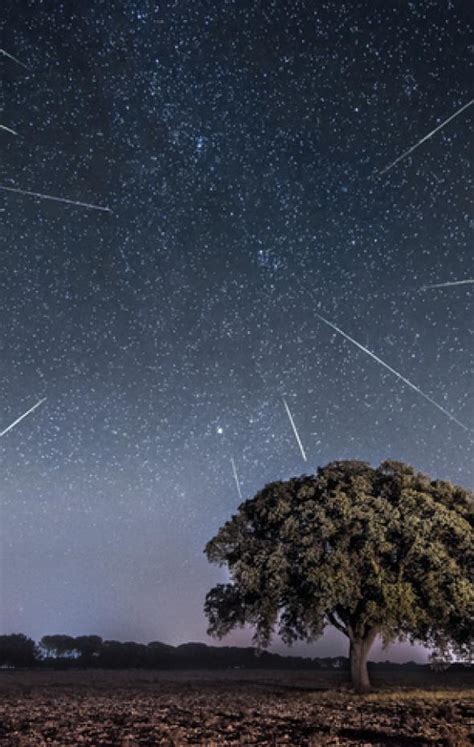 Lluvia De Estrellas Perseidas Mejor D A Lugar Y Hora Para Verla