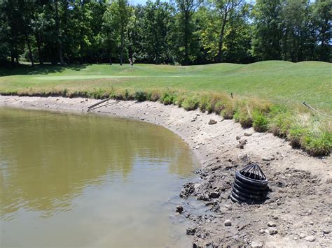 Tree Town Turf Guy June 2012