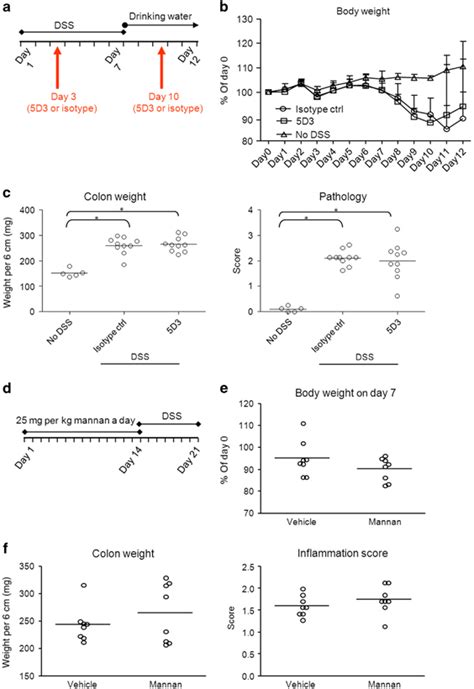 Cd206 Antagonists Do Not Affect Dextran Sulfate Sodium Dss Induced