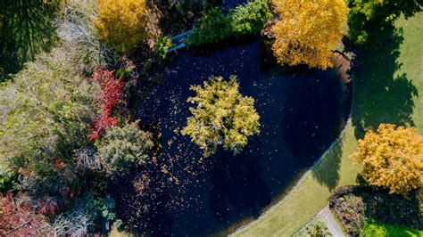 Car Hire in Dandenong from $51/day - Search for car rentals on KAYAK