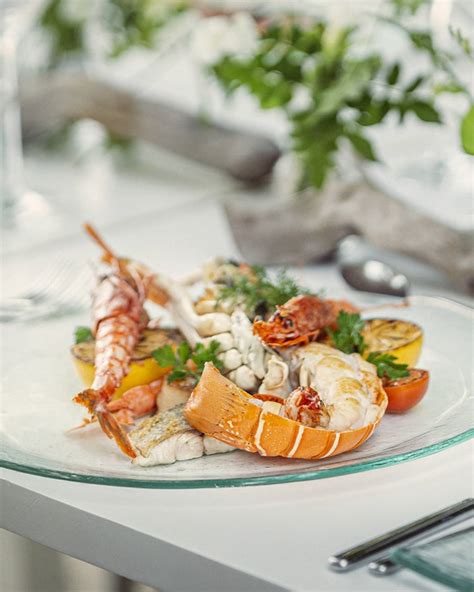 Fine Dining Onboard | Four Seasons Explorer Palau