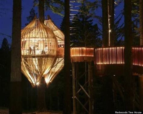 Most Epic Tree Houses The Internet Has Ever Seen Thethings