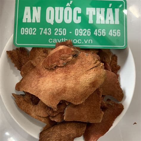 cu khuc khac  tac dung gi chua benh gi cach ngam ruou cu khuc khac