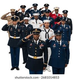 military branches royalty  images stock  pictures