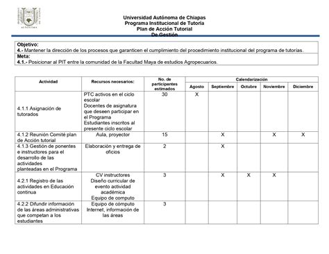 Plan De Acci N Tutorial Agosto Diciembre