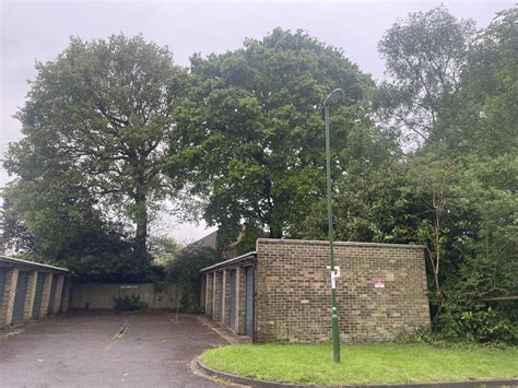 Tree removal costs - Homeowners Tree Advice Forum - Arbtalk | The