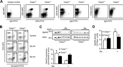 Caspase Knockout Mice Have Defects In Sphk Processing And Release