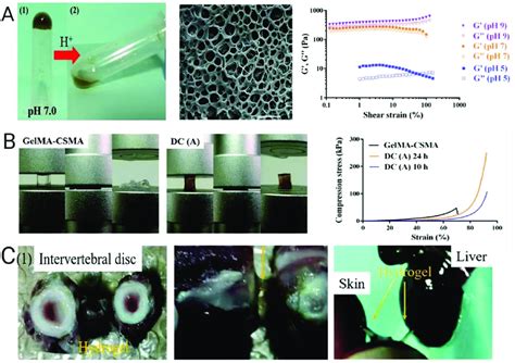 Double Crosslinked Hydrogels Improve Mechanical Properties A