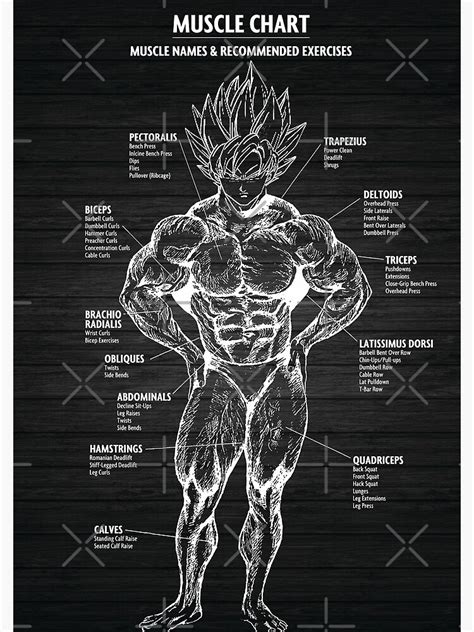 Muscle Chart Anatomy Diagram Anime Gym Motivational Spiral