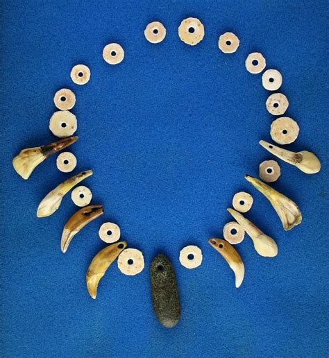 Fort Ancient Drilled Teethshell Necklace Shell Necklaces Low Tech