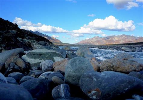 Denali National Park, Alaska, Toklat River | Denali national park ...