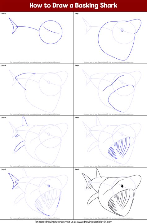 how to draw a basking shark