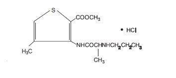 Septocaine: Package Insert - Drugs.com