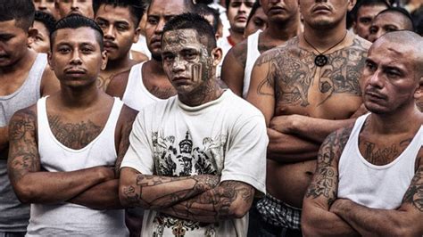 Classify These Mara Salvatrucha Gang From Central America Italic Roots