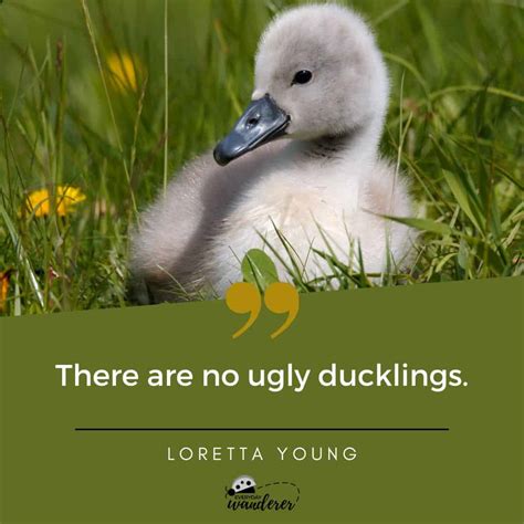 Duck Quotes: From Wise to Witty